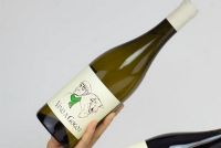 Vino Lauria Vino a Gogo Pinot Grigio, un appel à la joie de vivre